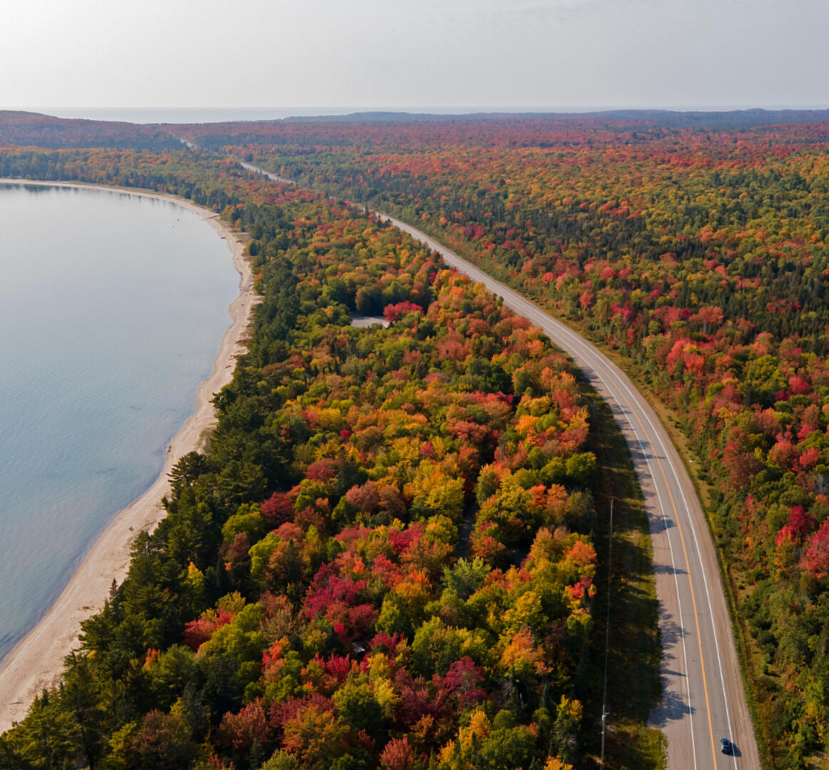 marketing guides to your inbox